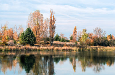 Reflection of trees in lake against sky