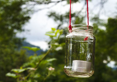 Tea light candle ind glass hanging from a tree on a red rope with blurred plants in the background