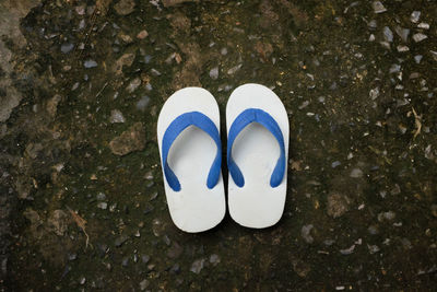 Blue slippers sandals beach shoes isolated on a ground background