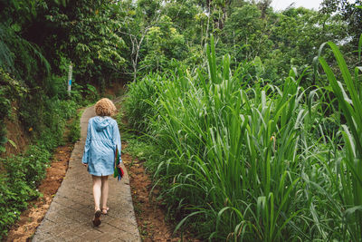 Rear view of woman walking on dirt road
