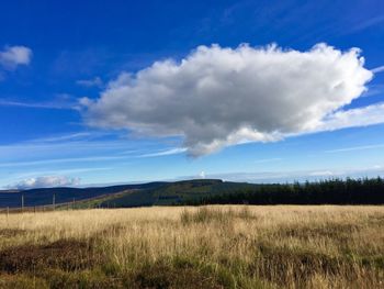 Scenic view of field against blue sky