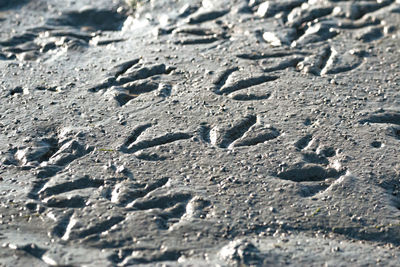 Close-up of footprints on sand