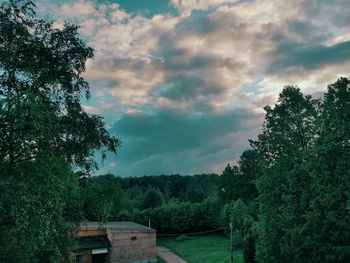 Trees in forest against sky