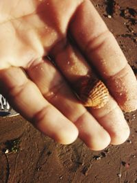 Close-up of a hand feeding