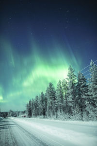 Road amidst trees against sky at night during winter