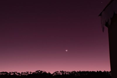 Silhouette trees against clear sky at night