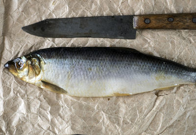 Directly above shot of salted herring on crumpled paper