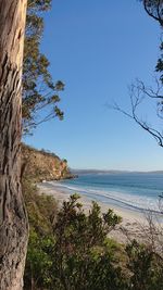 Scenic view of sea against clear blue sky