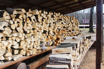 Stack of logs in forest