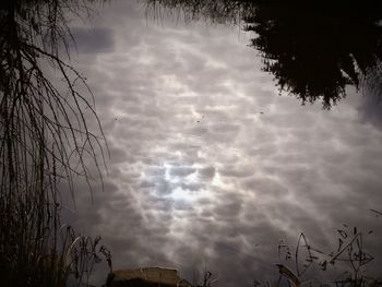 High section of silhouette trees against cloudy sky