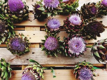 High angle view of purple flowering plants on table