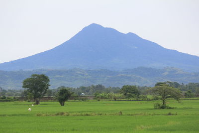 Scenic view of green landscape and mountains against sky