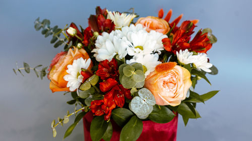 Close-up of red rose flowers in vase