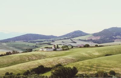 Scenic view of agricultural field against sky