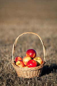 Close-up of apples in basket on field