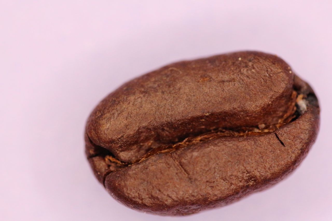 CLOSE-UP OF BURGER AGAINST GRAY BACKGROUND