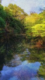 Scenic view of lake in forest