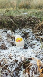 High angle view of toy in grass