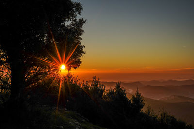 Sunlight streaming through silhouette trees against sky during sunset