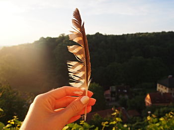 Close-up of hand holding umbrella against sky