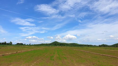 Scenic view of agricultural field against sky