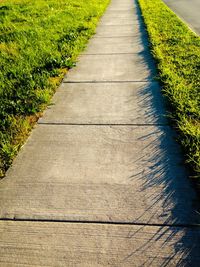 Road leading towards trees