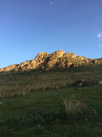 Scenic view of field against clear blue sky