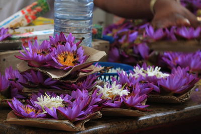 Bees on purple water lilies and jasmines for sale at temple