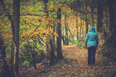 Rear view of woman walking in forest during autumn