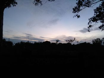 Silhouette trees against sky during sunset