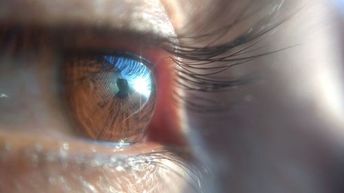 Close-up of human eye