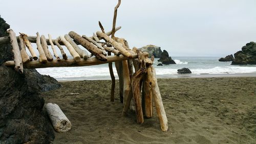 Driftwood on beach against clear sky