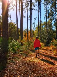Rear view of man walking on footpath in forest