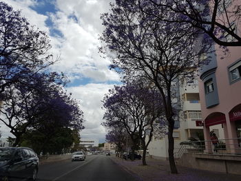 Road amidst trees against sky in city