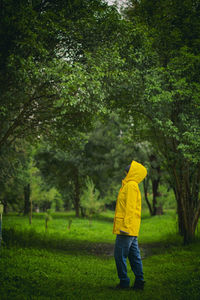 Rear view of person standing in forest