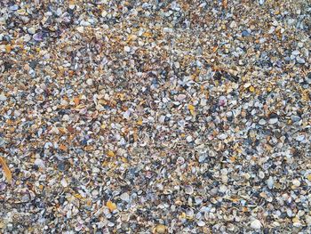 High angle view of stones on beach