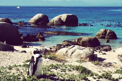 Panoramic view of rocks on beach against sky