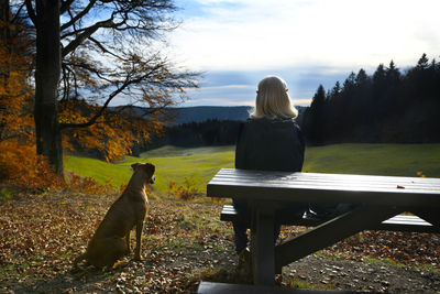 Rear view of mature woman sitting by dog on bench against sky at park