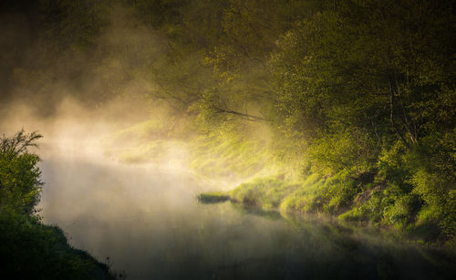 A beautiful spring landscape of a river valley with morning mist. springtime scenery of a river. 