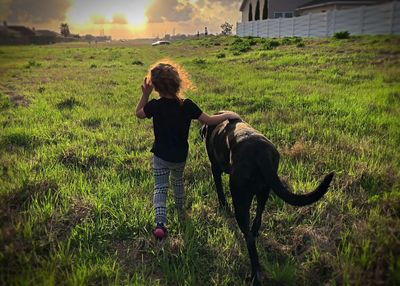 Rear view of girl with dog walking on grassy field during sunset