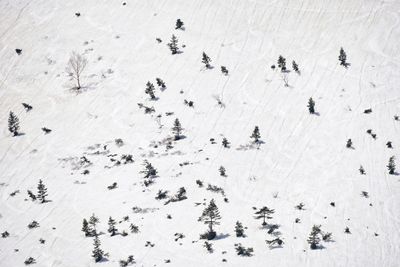 Full frame shot of snow