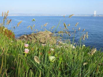 Scenic view of sea against sky