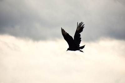 Low angle view of silhouette bird flying against sky