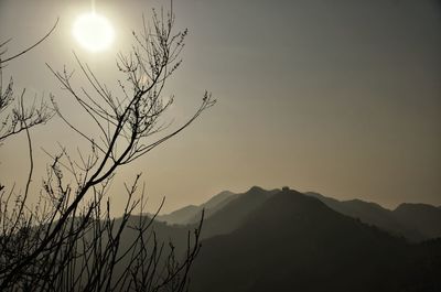 Silhouette of tree against sky during sunset