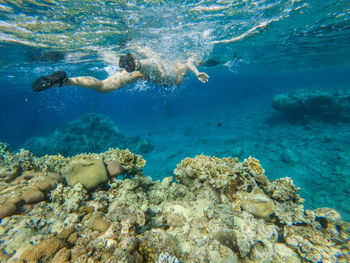 Woman swimming in sea