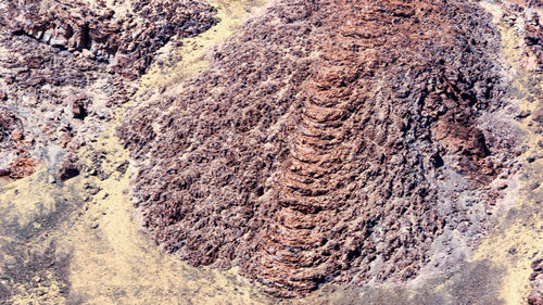 Aerial view of landscape