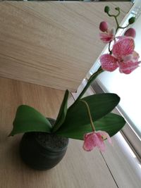 Close-up of flower vase on table