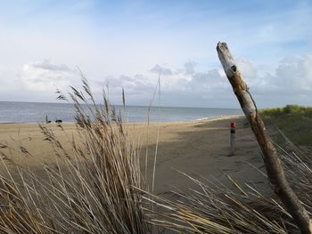 Scenic view of beach against sky