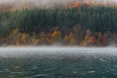 Scenic view of waterfall in forest during autumn