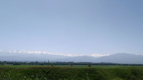 Scenic view of field against clear sky